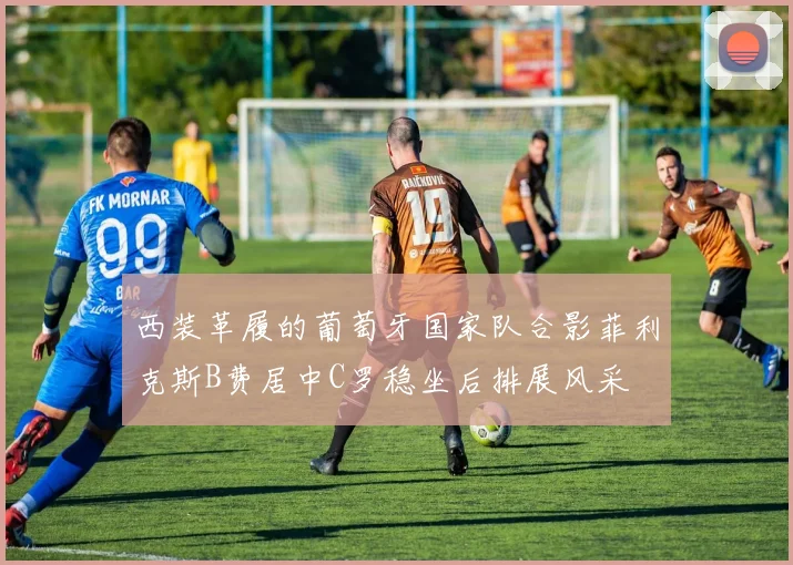 西装革履的葡萄牙国家队合影菲利克斯B费居中C罗稳坐后排展风采