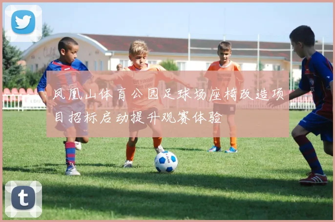 凤凰山体育公园足球场座椅改造项目招标启动提升观赛体验