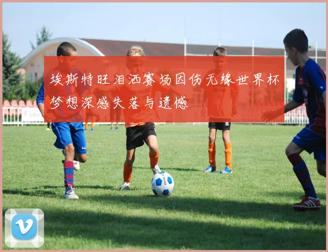 埃斯特旺泪洒赛场因伤无缘世界杯梦想深感失落与遗憾
