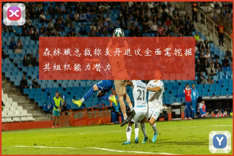 森林狼总裁称麦丹进攻全面需挖掘其组织能力潜力